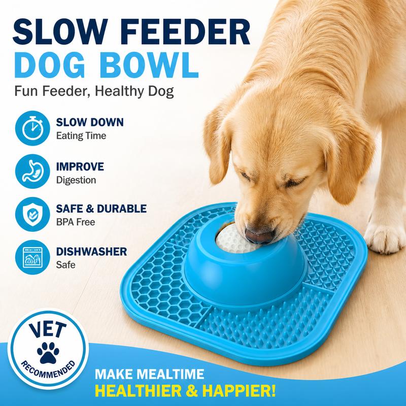 Slow Feeding Dog Bowl