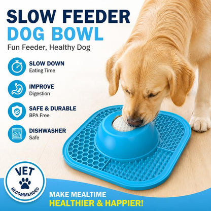 Slow Feeding Dog Bowl